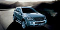 ±Y ML350 4MATIC Ӹ