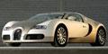 2009ӵ R؄e