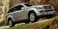 2010YGL450 4MATIC(jng)