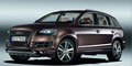 2010WQ7 4.2 FSIg