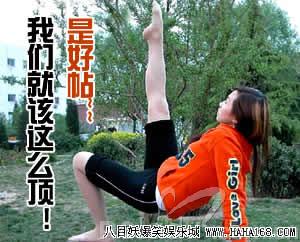 台湾当局作出拒绝熊猫入台决定_爆笑贴图_