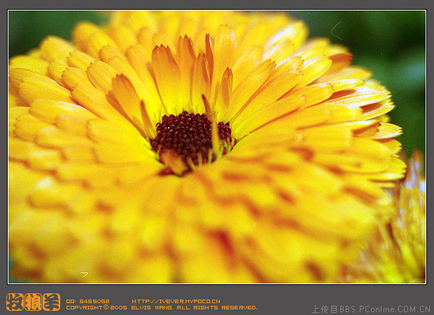 拍人像用什么焦段的镜头好,用定焦还是变焦?(