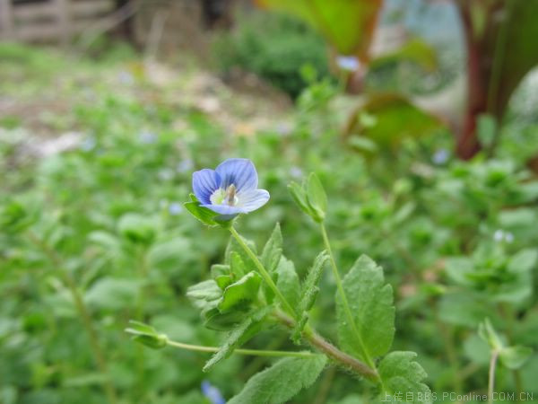 拍人像用什么焦段的镜头好,用定焦还是变焦?(