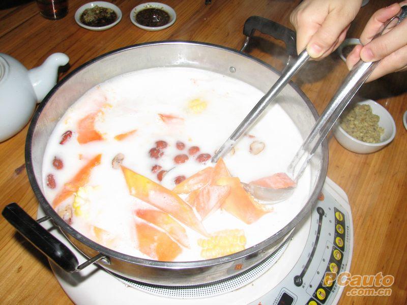 西樵鹦鹉椰奶煲乳鸽聚虎皮木瓜从下蛋到孚化出小得几天图片