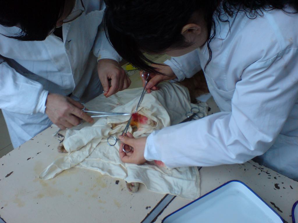 古代女人宫刑/古代女子真人宫刑图/宫刑过程/古代图片