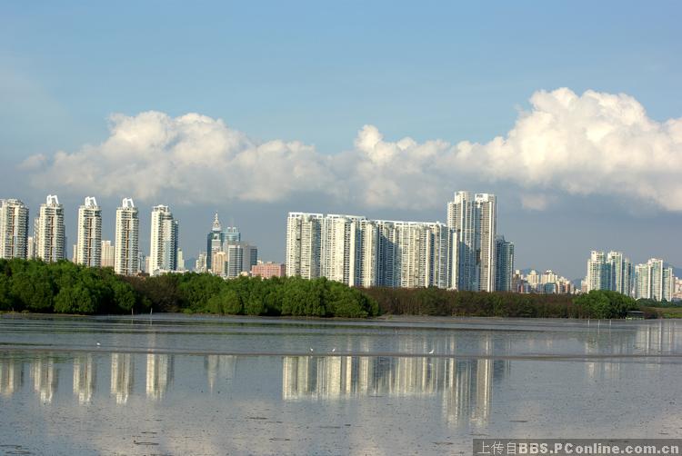 深圳红树林海滨生态公园(1)