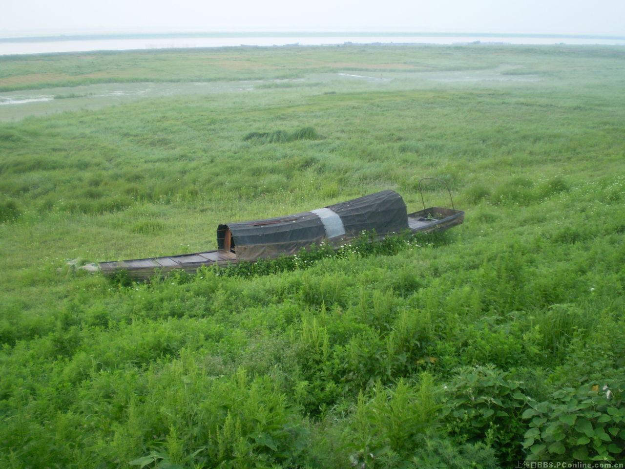 保护鄱阳湖自然生态