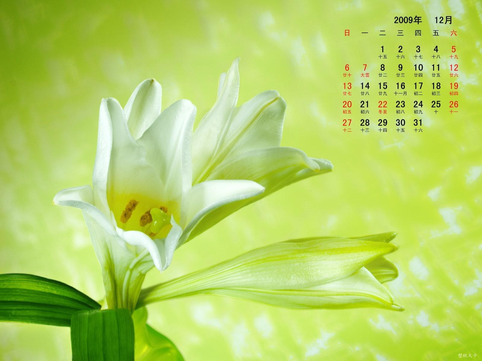 2009年12月花卉月历桌面高清壁纸图片