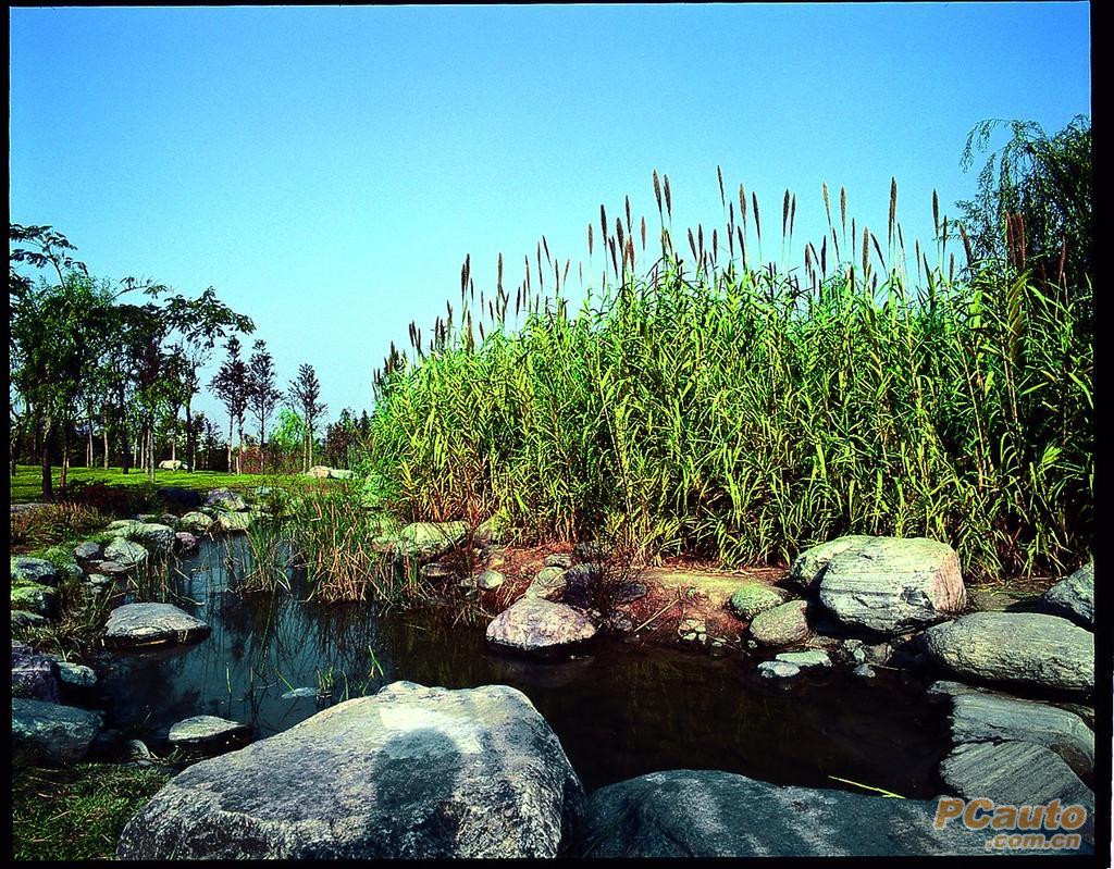 人工湿地公园的代表——郑东新区湿地公园 - 哔哩哔哩