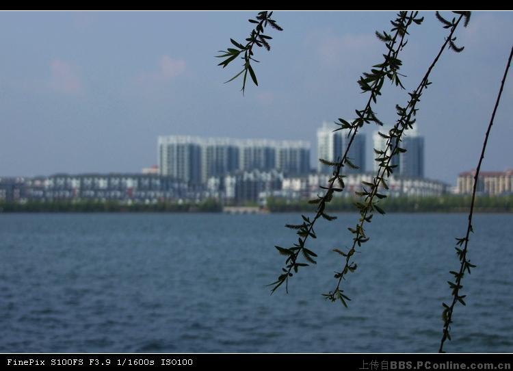 武汉汤逊湖藏龙岛风光