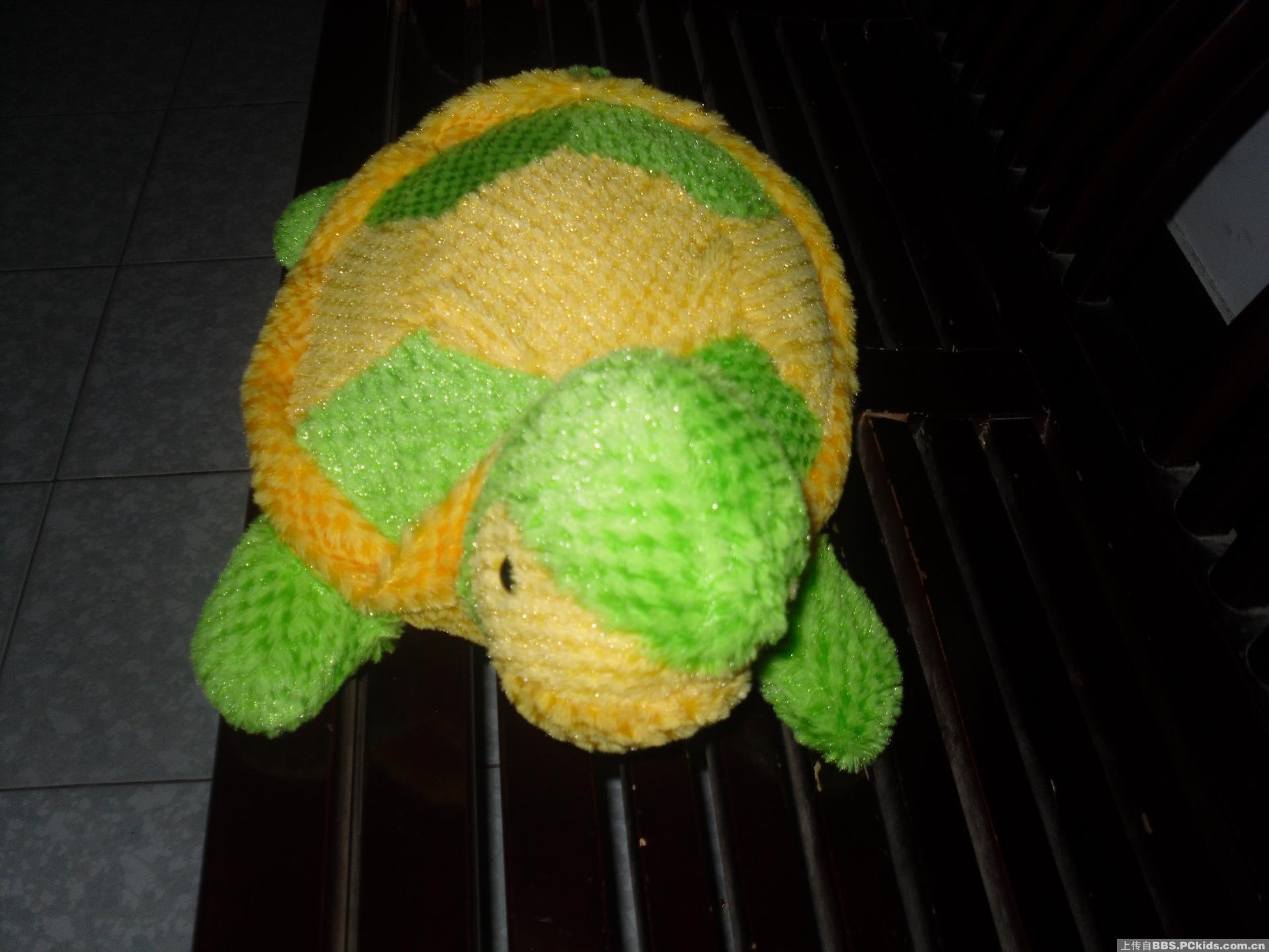 哈哈。绿龟
