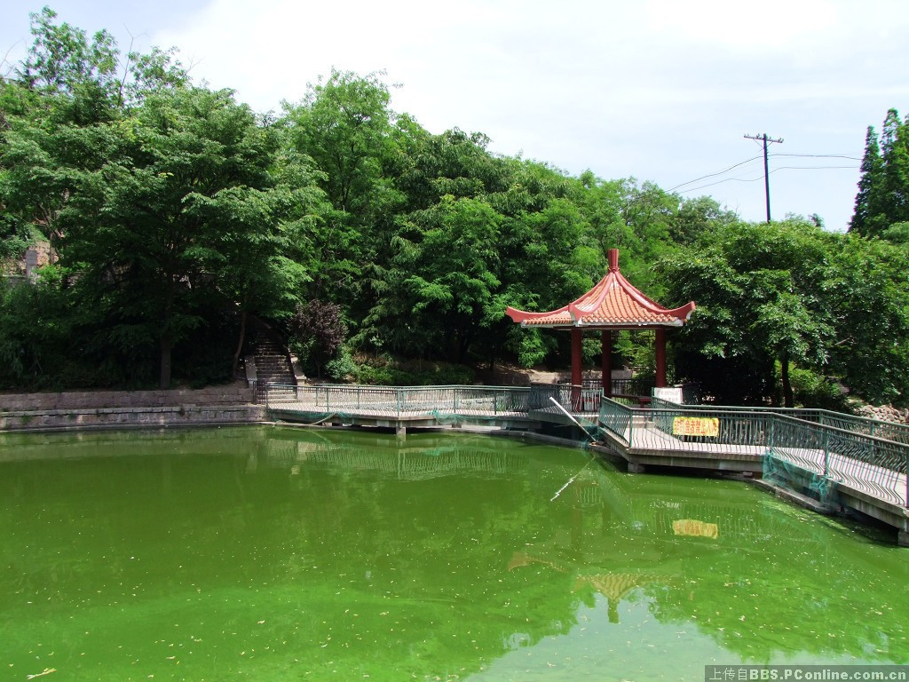 青岛榉林山公园 新房