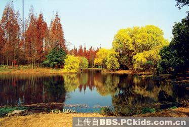 游乐场所,景点介绍:共青森林公园位于上海市杨浦区,东临黄浦江,西