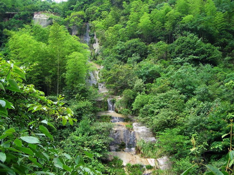 我游大鄣山--卧龙谷