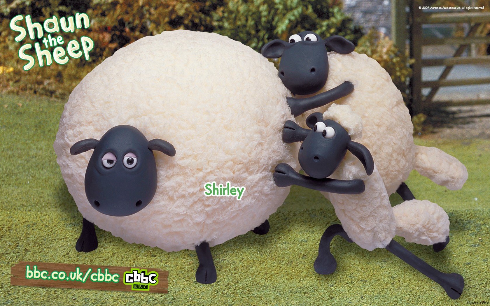 shaun the sheep小羊肖恩 宽屏壁纸 1680×1050