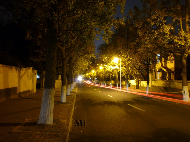 夜晚的路