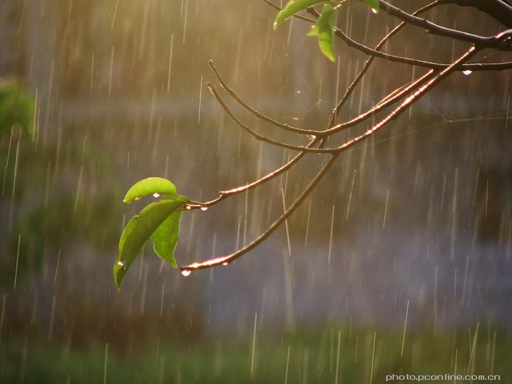 小雨中的回忆_小雨中的回忆刘蓝溪_小雨中的回忆原唱