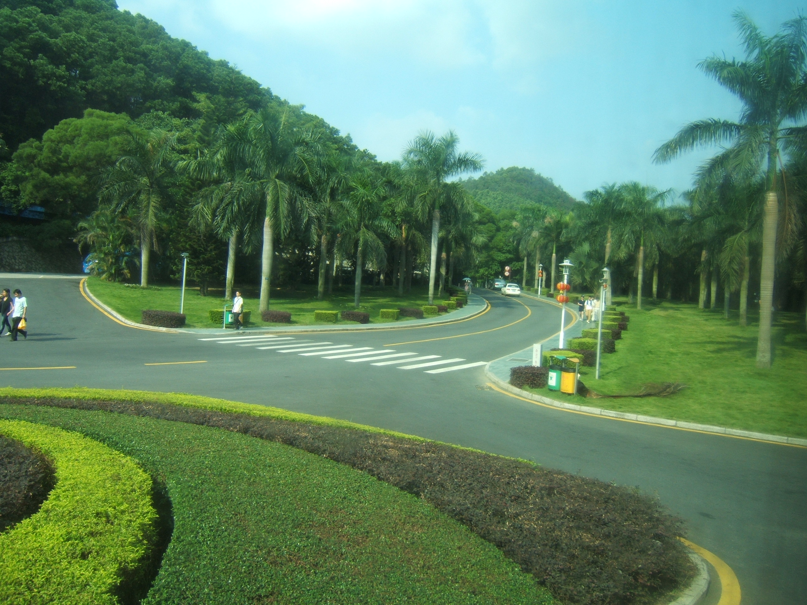 深圳仙湖植物园