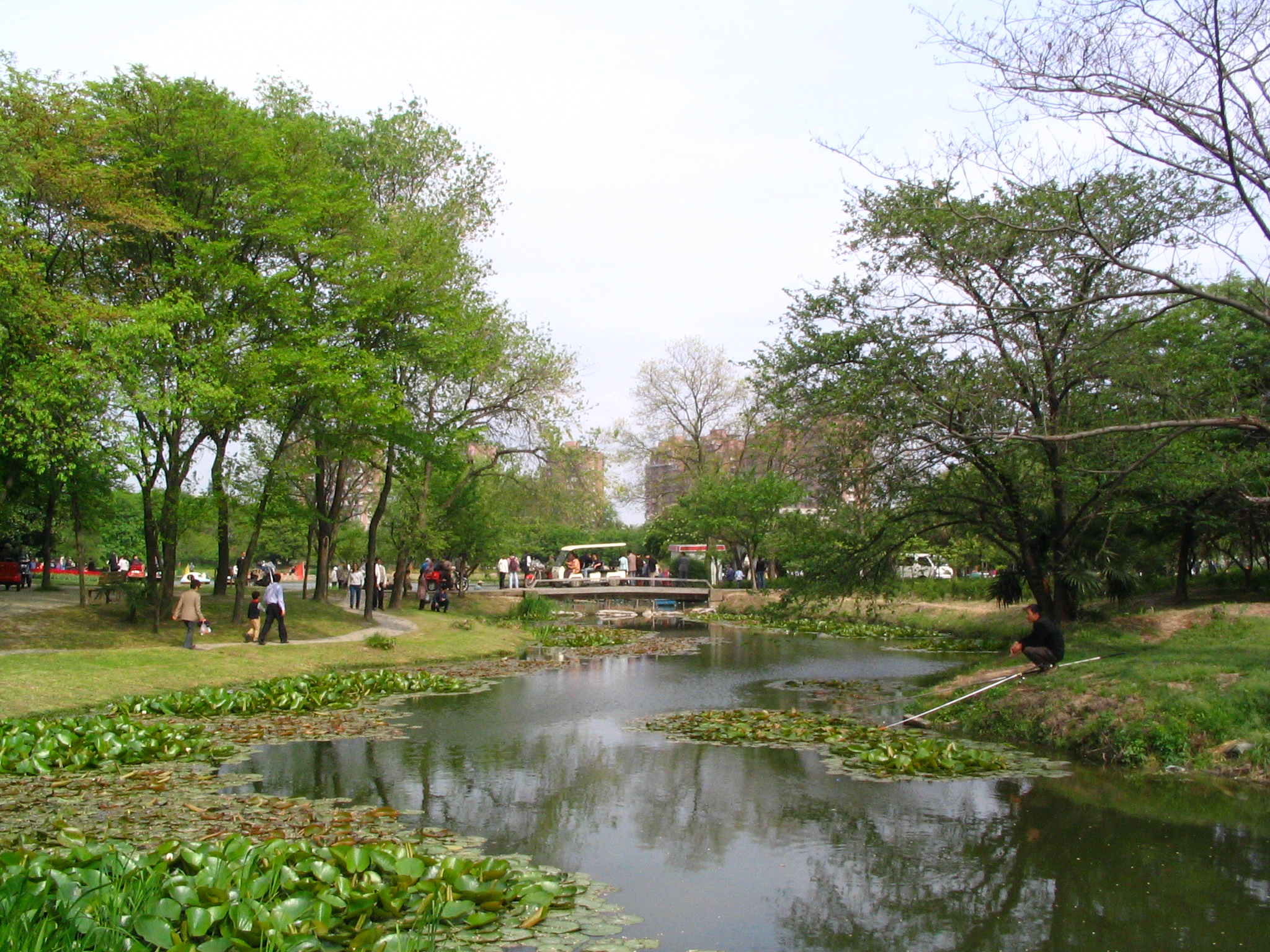 上海辰山植物园,上海上海辰山植物园攻略/地址/图片/门票【携程攻略】