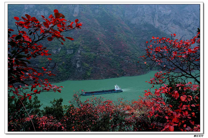 【等到满山红叶时摄影图片】巫山神女峰风光旅