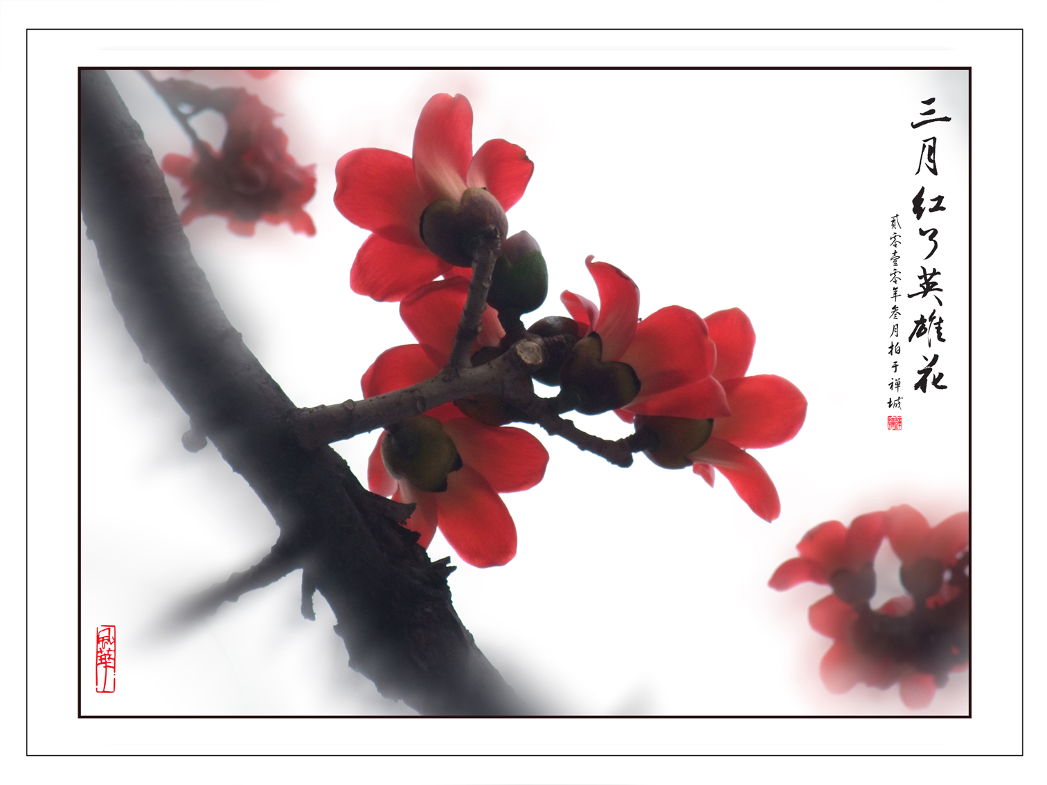 【三月桃花红摄影图片】福州各大公园生态摄影_绿水丹华的博客_太平洋电脑网摄影部落