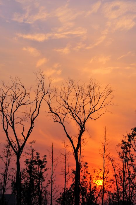 夕阳下