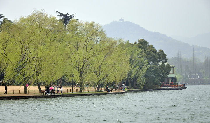 【绿柳如烟摄影图片】杭州西湖其他摄影