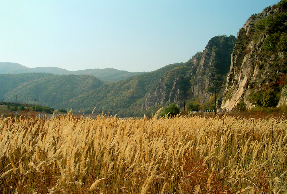 东北乡村的美丽景色