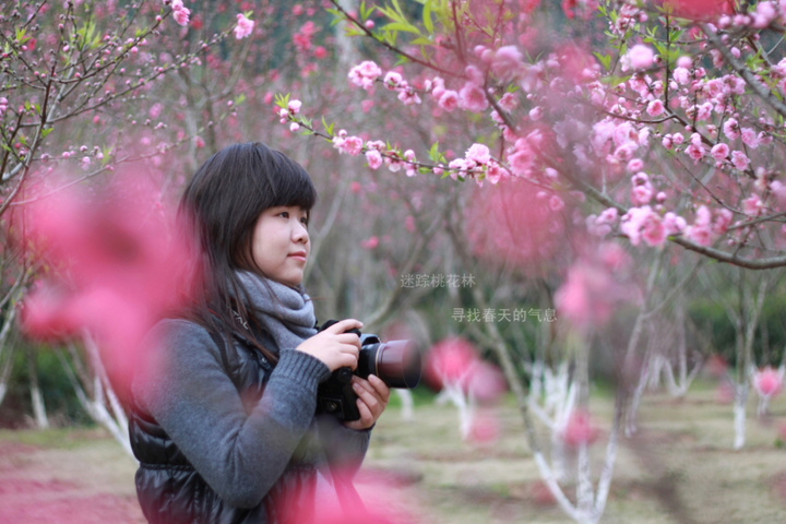 迷踪桃花林(我自己)