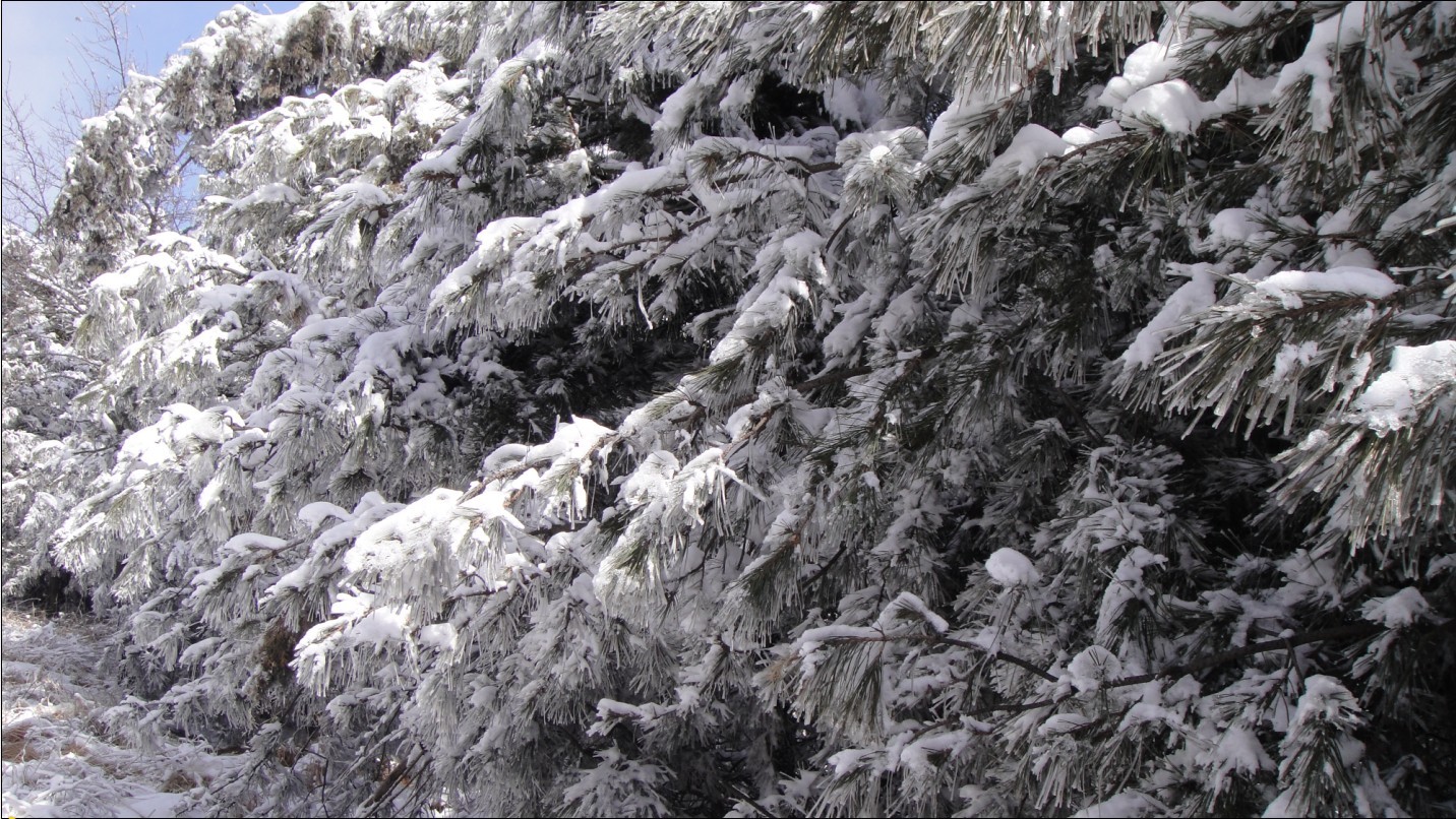 【雪景摄影图片】中条山风光摄影_!喜欢上摄影!_太平洋电脑网摄影部落