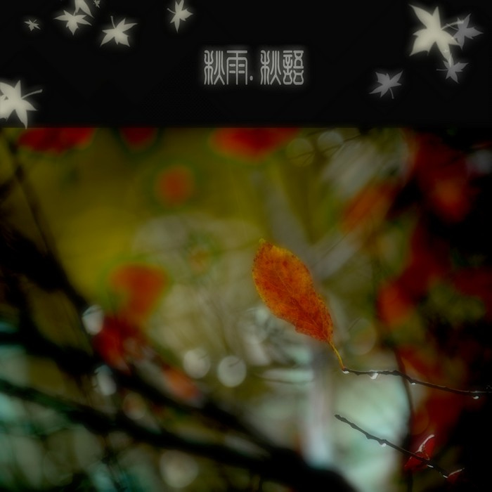 秋雨.秋语