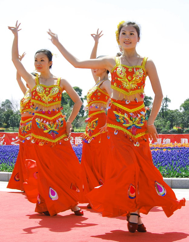 【少数民族舞蹈之二摄影图片】上海浦东鲜花港