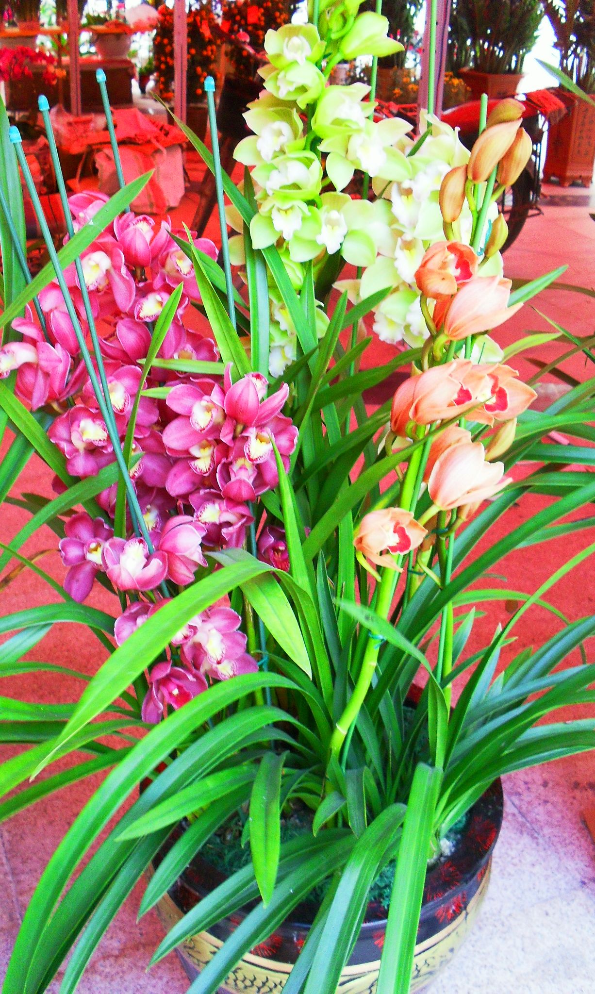 百花册