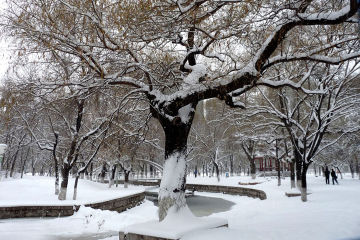 雪景