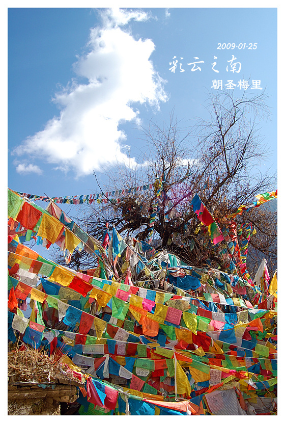 云南│ 朝圣 梅里 明永 (共p)