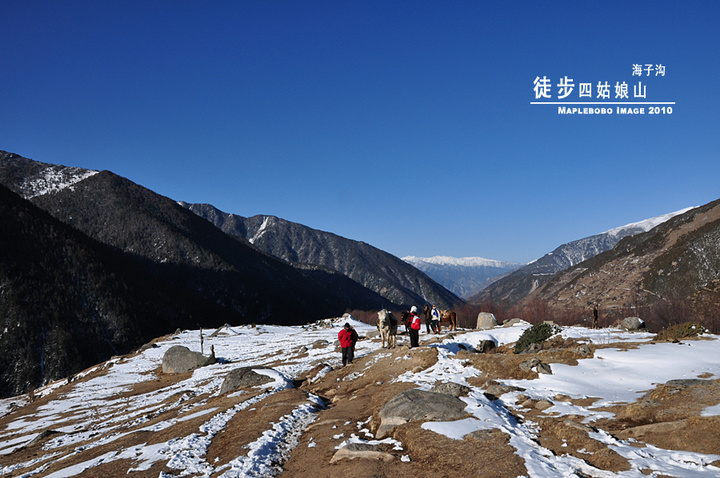 川│ 四姑娘山 海子沟