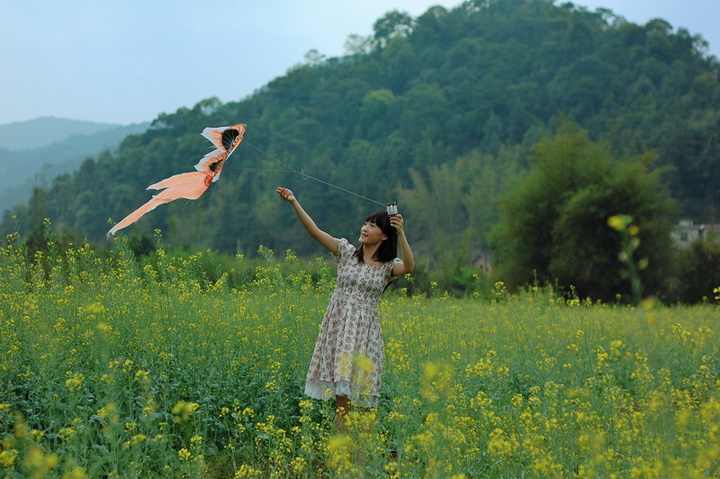 沉醉在春天油菜花黄的美丽田野 (共p)