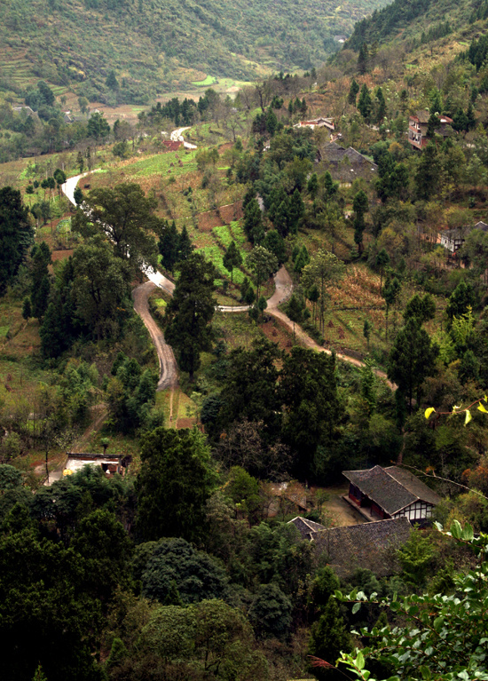 空山风光(2009)