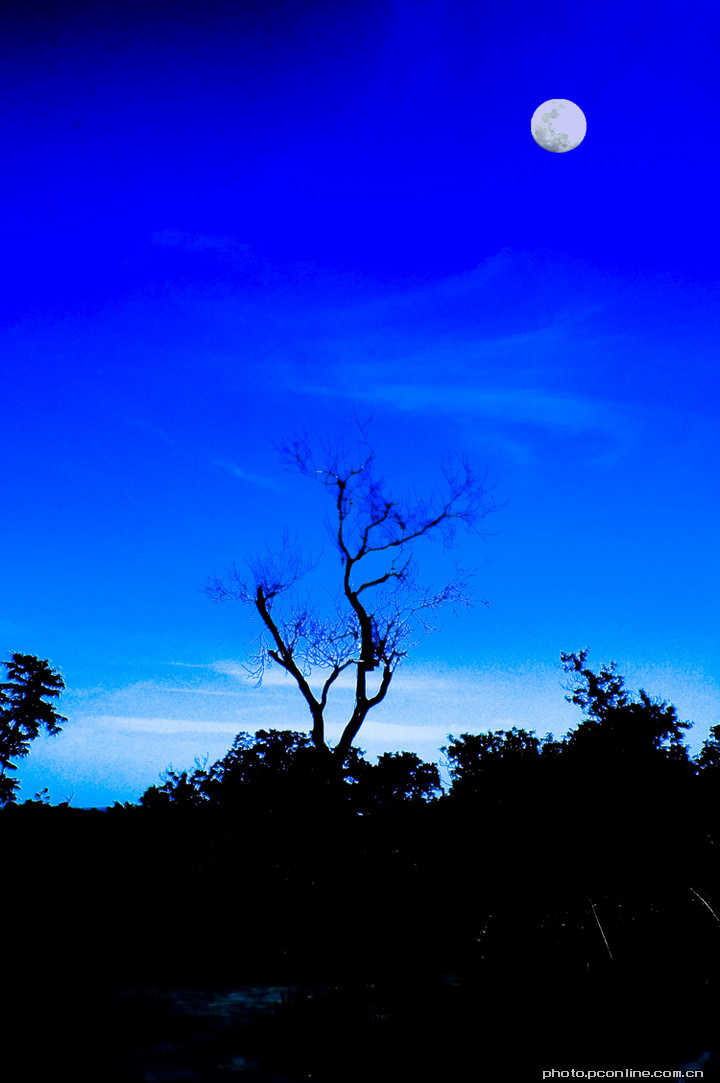 【夜色摄影图片】西安野生动物园风光旅游摄影