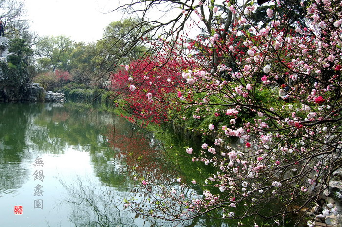 江南水乡园林 --- 蠡园 --- 桃红柳绿