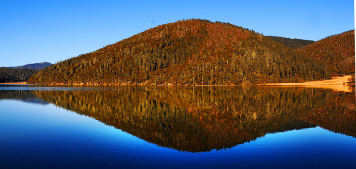 【香格里拉的湖光山色摄影图片】普拉措国家森