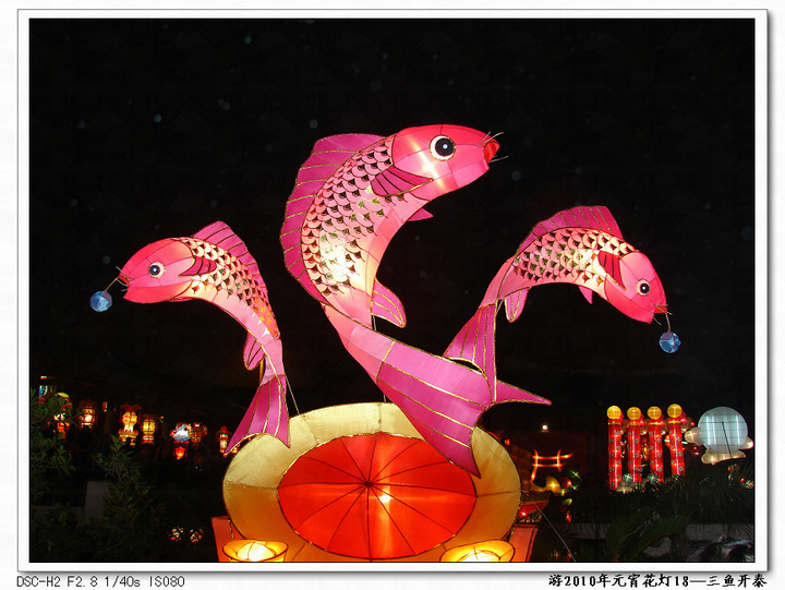 2010年福建省泉州文庙元宵灯展