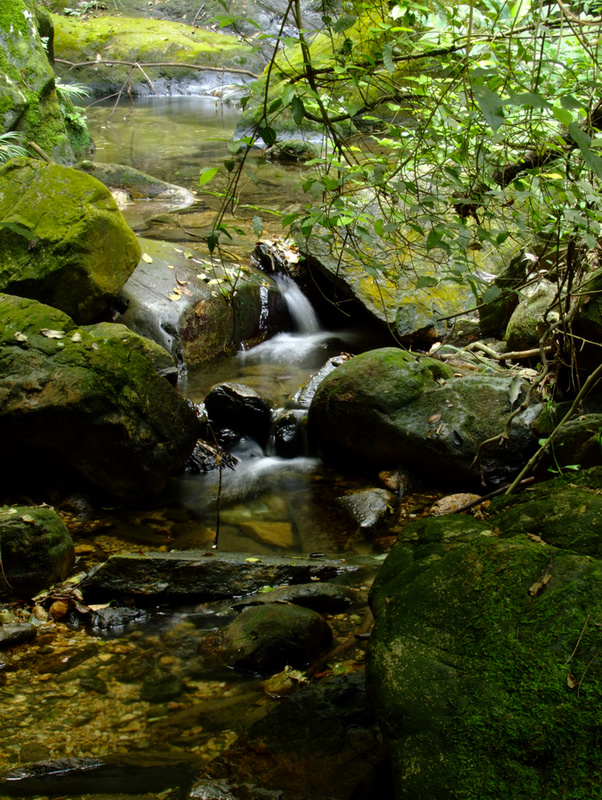 【南丹山风景2摄影图片】佛山三水迳口生态摄