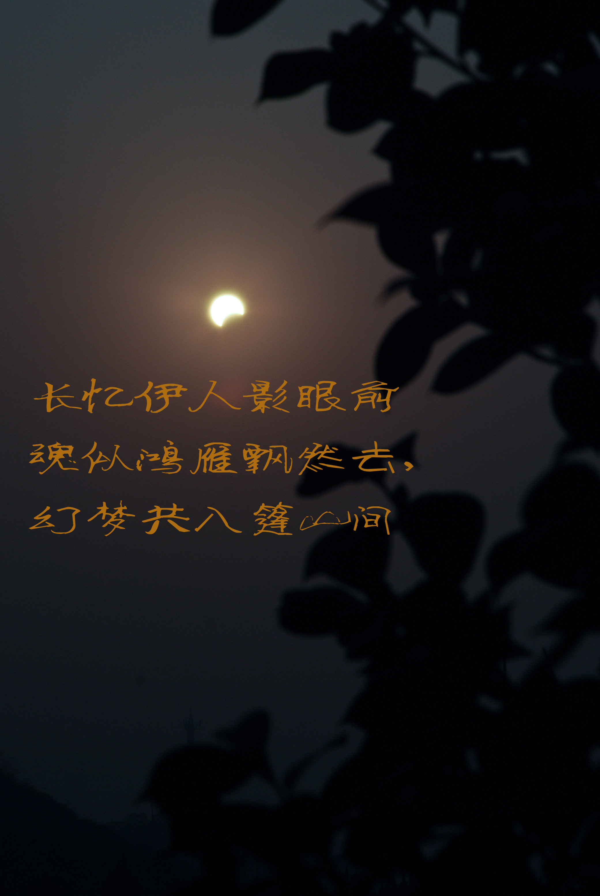 2010日食与远方无尽的思念