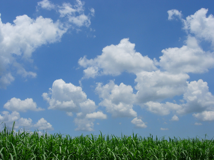 blue sky in yangqing town