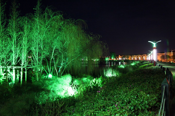 滇池夜景