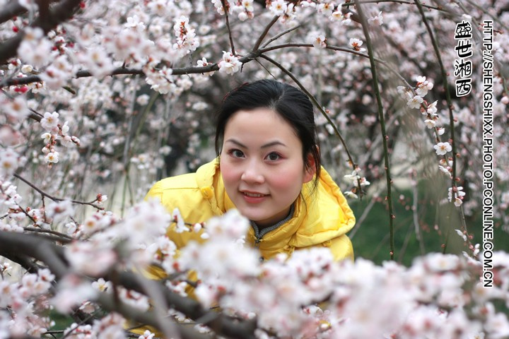 梅花妹妹(o漂漂靓靓o)