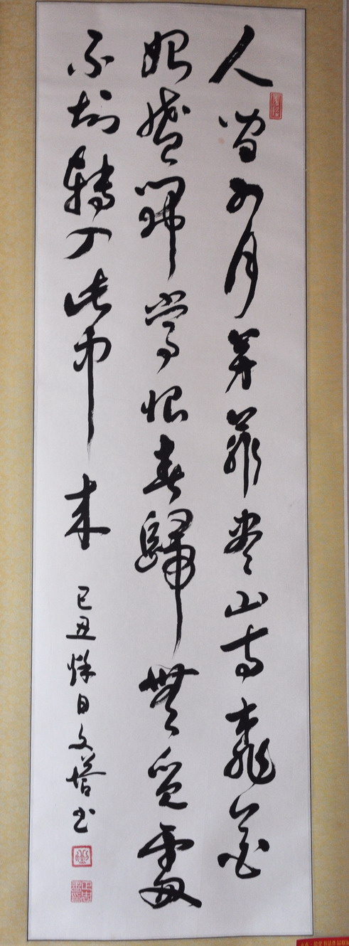 491_1330 竖版 竖屏