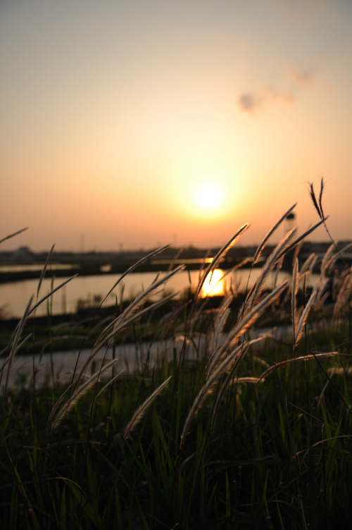 河边的夕阳