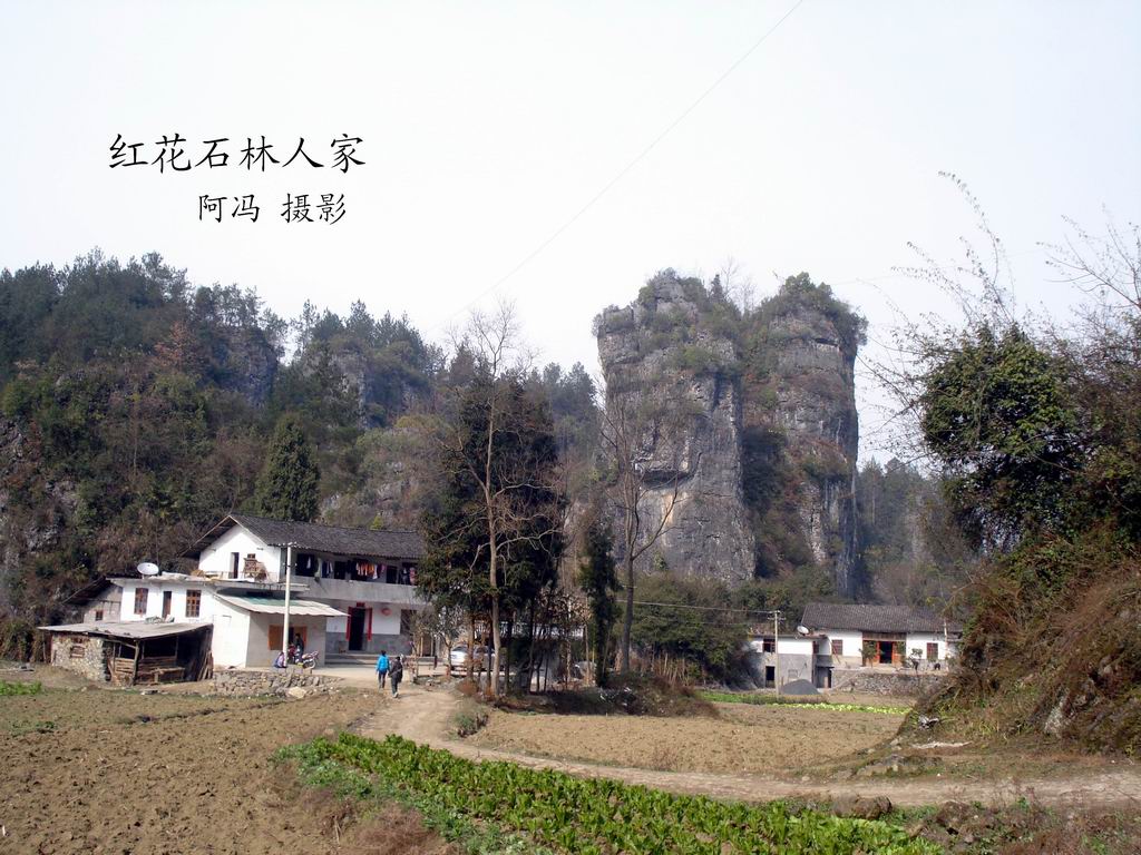 红花石林风光